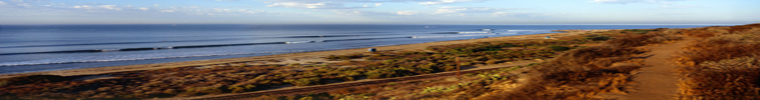 Header Graphic
